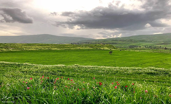 تعرف على الحالة الجوية ليوم الخميس تعرف على الحالة الجوية ليوم الخميس