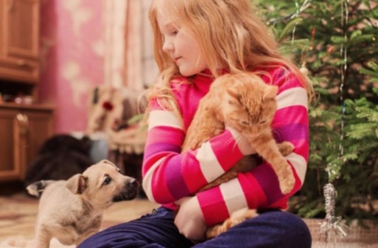 دراسة: هل تنتقل الأمراض بين الحيوانات الأليفة والبشر؟