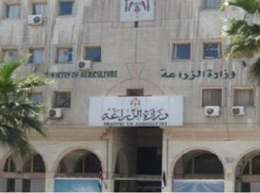 وفد أردني يطلع على واقع وتحديات قطاع الزراعة الفلسطيني وفد أردني يطلع على واقع وتحديات قطاع الزراعة الفلسطيني