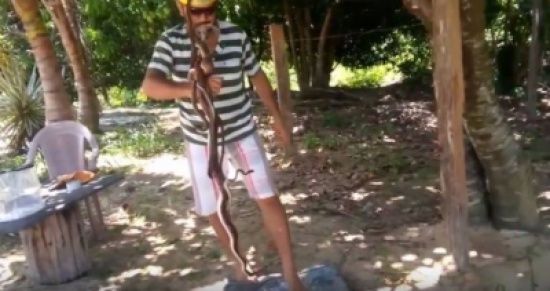 فيديو| برازيلي يملأ فمه بالأفاعي ويمشي على زجاج مكسّر!