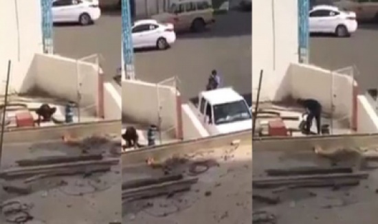 فيديو : خلط بودرة على الوقود