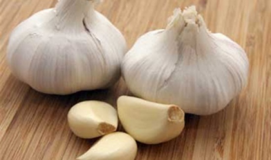 الثوم  يخفض الكوليسترول