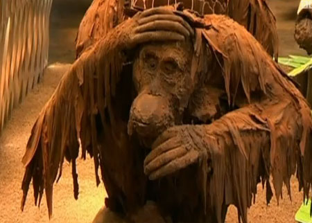 شجرة القرود