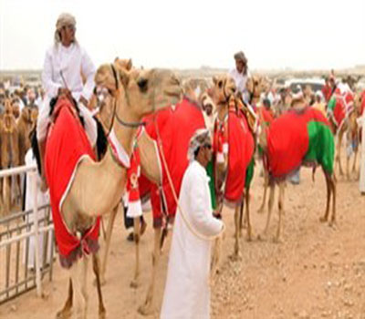 السلطان قابوس يشتري 30 ناقة بـ5 مليون دولار السلطان قابوس يشتري 30 ناقة بـ5 مليون دولار