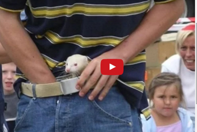 بالفيديو  : تقاليد واحتفالات أوروبية لتعذيب الحيوانات !