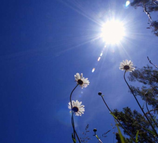 طقس معتدل حتى الجمعة