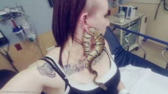 ثعبانٌ "غبي" يدخل في ثقبِ أذنها.. والسبب "سيلفي"؟!