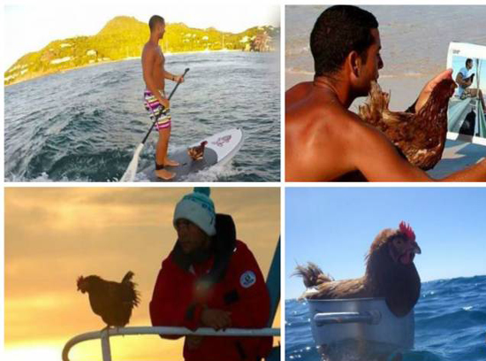 مغامر فرنسي يصطحب دجاجة في رحلته حول العالم ما  هو سرها؟!