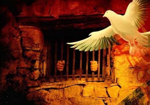 إضراب مفتوح عن الطعام الثلاثاء في سجون "نفحة ورامون والسبع"