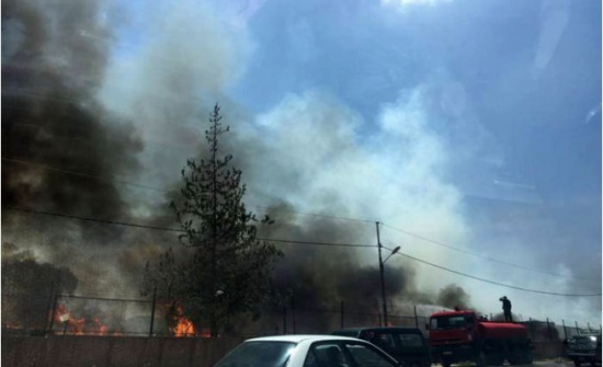 بالصور : حريق كبير بإحدى الأراضي في عين الباشا