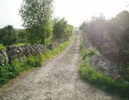 "زراعة الكورة" تربط تجديد تراخيص المعاصر بتوفير متطلبات السلامة العامة