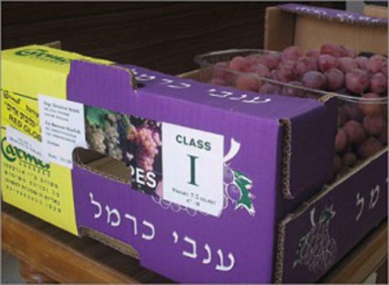 خضار اسرائيلية بأسماء فلسطينية في الأردن خضار اسرائيلية بأسماء فلسطينية في الأردن