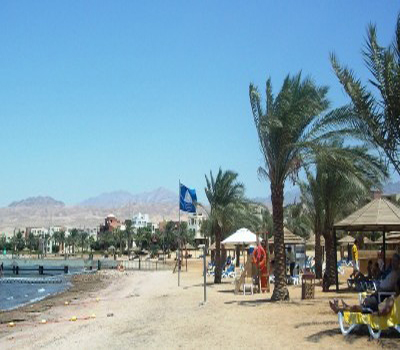 "بيئة الامانة".. هل تنجح اتمتة الرقابة وفاعلية العقوبة في تعديل السلوك