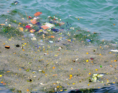 العقبة البحرية ترفع 20 طنا من النفايات القيت في البحر