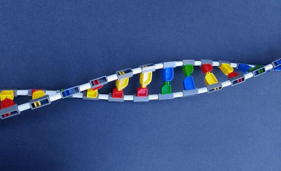 فحص الـ DNA .. جثة "مستشفى البشير" لا تعود للطفلة سارة فحص الـ DNA .. جثة "مستشفى البشير" لا تعود للطفلة سارة