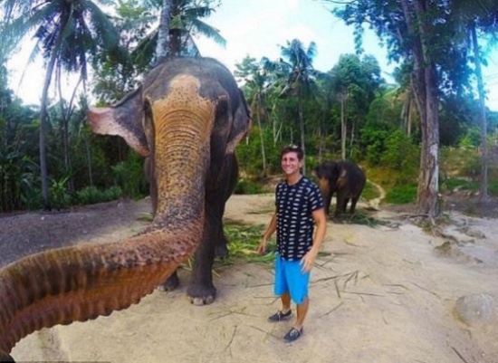 رجل يدفع حياته ثمناً لصورة "سيلفي" مع فيل رجل يدفع حياته ثمناً لصورة "سيلفي" مع فيل