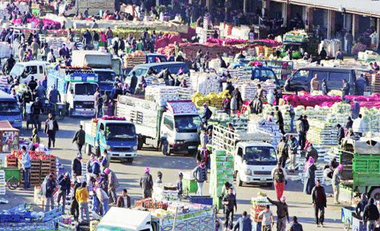 2983 طن خضار وفواكه ترد للسوق المركزي اليوم 2983 طن خضار وفواكه ترد للسوق المركزي اليوم