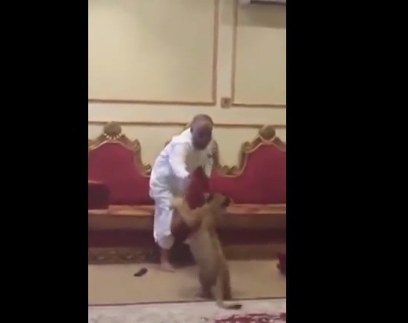 مزاح ثقيل بادخال “شبل” على مسن مصري