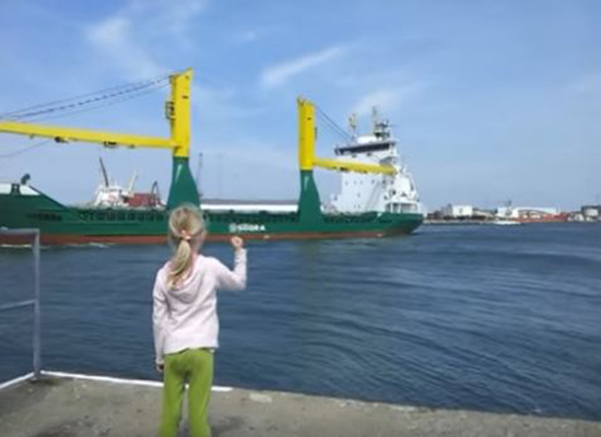 بالفيديو.. لقطات طريفة لبوق سفينة يتسبب في رعب طفلة