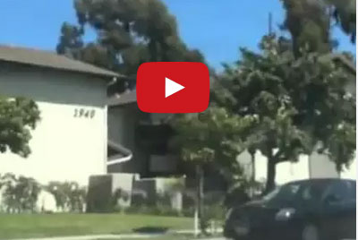 بالفيديو : مطاردة لص يقفز من بناية الى اخرى