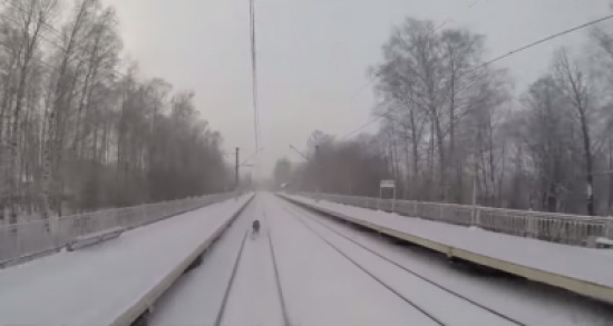 شاهد.. مغامر روسي يتعلق بقطار ليتزلج بسرعة عالية