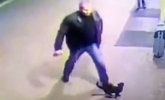 شاهد.. روسي يركل قطة بطريقة وحشية شاهد.. روسي يركل قطة بطريقة وحشية