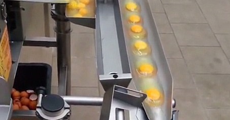 شاهد كيف يتم الفصل بين بياض وصفار البيض