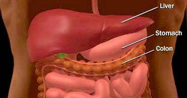 الإصابة بمرض السكر من أهم أسباب الكبد الدهني