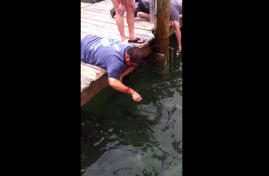 سمكة شرسة تصطاد رجلا حاول الإمساك بها بيديه