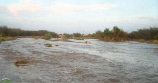 أضرار بالمنازل والمركبات التي حاصرتها السيول