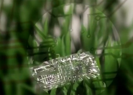 هواتف محمولة بتاريخ صلاحية محدد