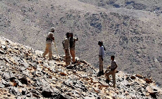 مقتل قائد قوة الاستطلاع التابعة للحوثيين بالجوف اليمنية مقتل قائد قوة الاستطلاع التابعة للحوثيين بالجوف اليمنية