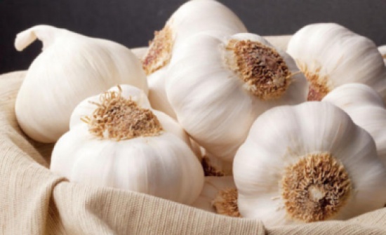 الأردنيون يستهلكون 10 آلاف طن سنويا من الثوم الأردنيون يستهلكون 10 آلاف طن سنويا من الثوم