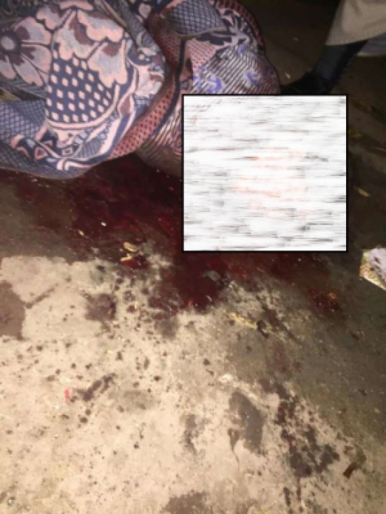 صور|جرّها أمام الناس بعد أن ربطها وقام بذبحها..جريمة تهز القلوب صور|جرّها أمام الناس بعد أن ربطها وقام بذبحها..جريمة تهز القلوب