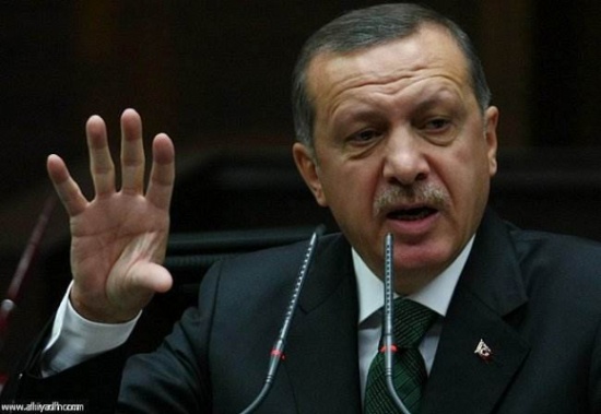 لماذا ألغى أردوغان زيارته المرتقبة لإيران؟