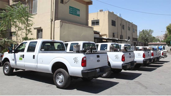 الأمانة تواصل حملاتها لمكافحة الحشرات