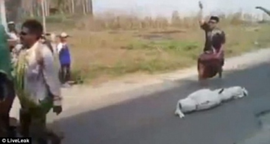 بالفيديو: لحظة سقوط جثة على الأرض خلال موكب تشييعها