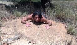 شاهد..مغامر أسترالي يقدم نفسه وجبة للنمل