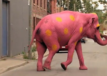 الفيل الهارب