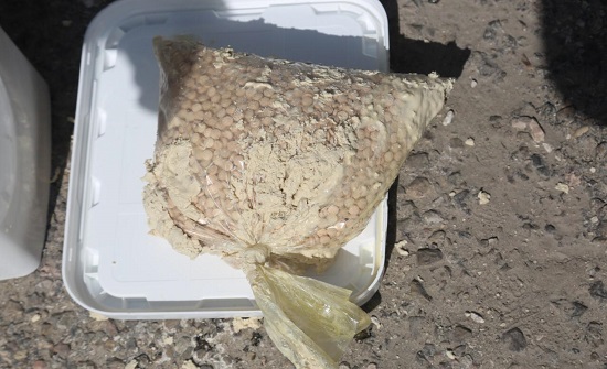 بالصور : احباط تهريب ٣٠٠ ألف حبة مخدرة أخفيت داخل " حلاوة " والقبض على 4