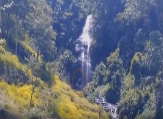 بالفيديو: مخلوق غامض يتجول في غابات أندونيسيا