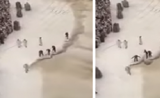 فيديو| لحظة تنظيف صحن المطاف من مياه الأمطار بسرعة عالية!