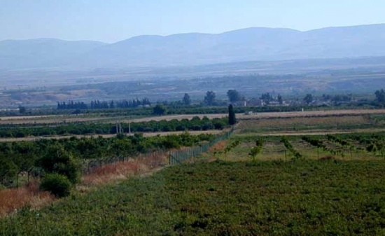 مسؤول اسرائيلي : غور الاردن غير حيوي لنا