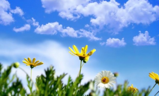 أجواء ربيعية معتدلة الأربعاء وارتفاع الحرارة الخميس