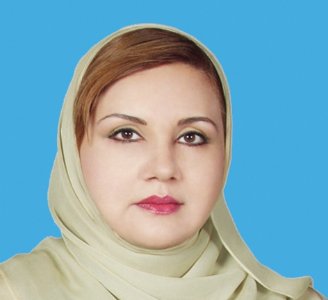 نائب رئيس مجلس النواب العُماني تصل مجلس النواب نائب رئيس مجلس النواب العُماني تصل مجلس النواب