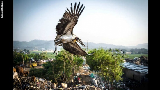 لمحة من حياة من يعيشون بمكبات النفايات بالهند