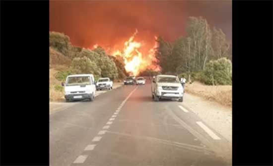 اندلاع حرائق ضخمة في مدينة تيزي وزو الجزائرية .. بالفيديو