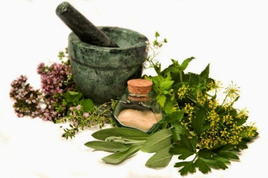 القنب أخطر على الرجال منه على النساء القنب أخطر على الرجال منه على النساء
