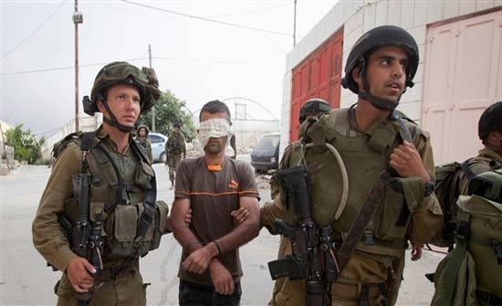 الاحتلال يعتقل 14 فلسطينيا الاحتلال يعتقل 14 فلسطينيا