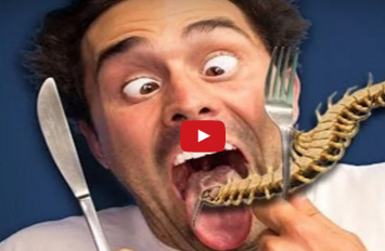 بالفيديو  :  أغرب 10 حشرات فى العالم | منهم حشرة تأكلها كل يوم !